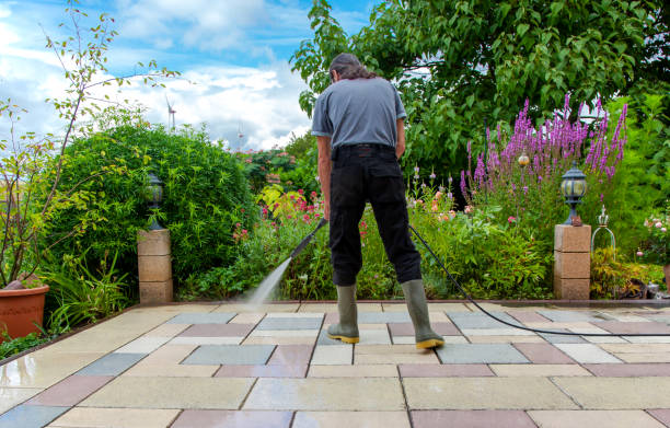 Best Animal Enclosure Cleaning  in Centerville, CA